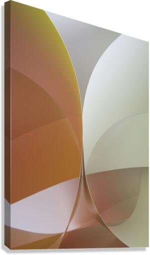 Butterfly Canvas Print