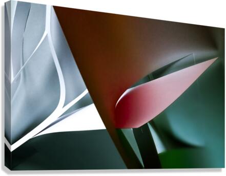 Deep into the forest Canvas Print