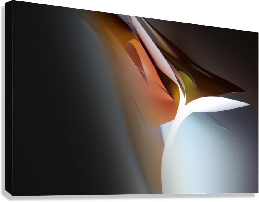 Feathery Canvas Print