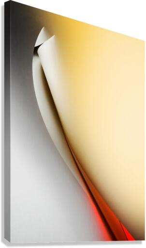 Bleeding wound Canvas Print
