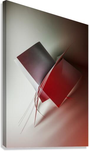Crawler Canvas Print