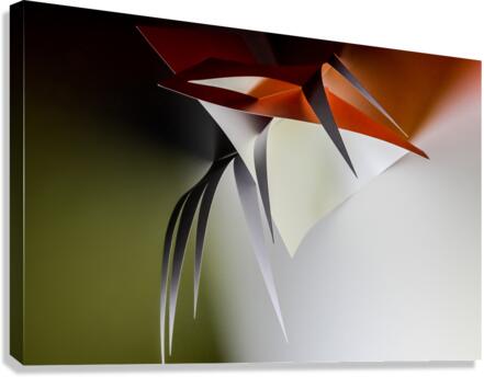 Hanging plant Canvas Print