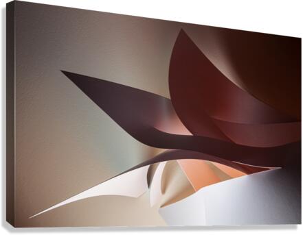 Side projection Canvas Print