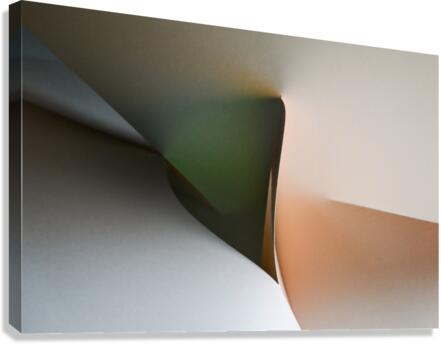 Twist Canvas Print