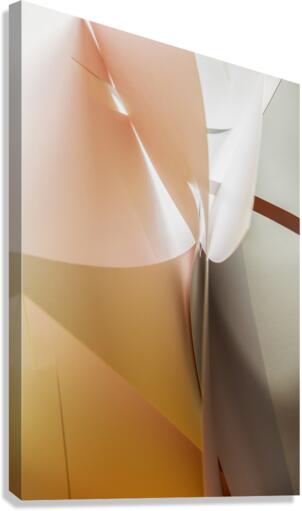 White face Canvas Print