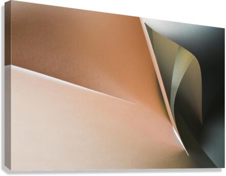 White touch Canvas Print