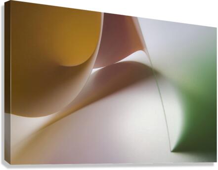 Flag Canvas Print