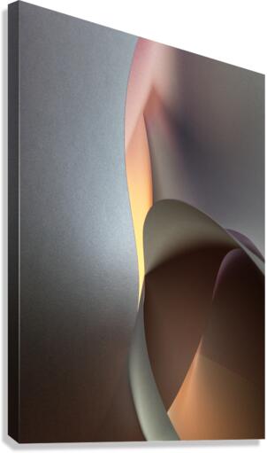 Body language Canvas Print