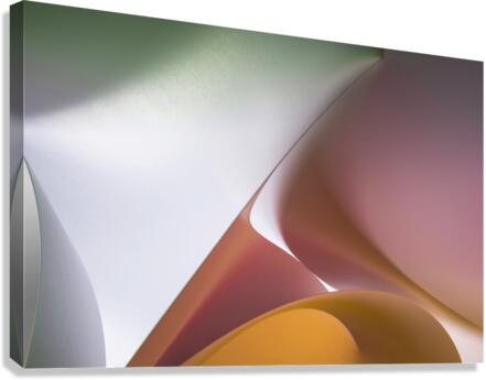 Finger pointing Canvas Print