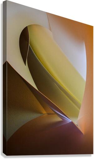Exotic bird Canvas Print