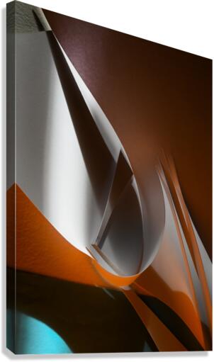 Light collector Canvas Print