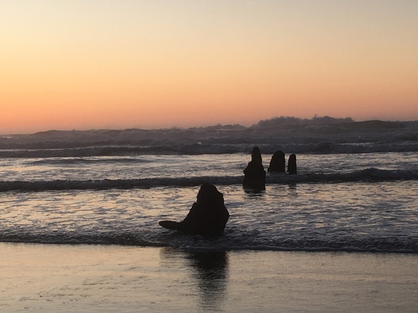 Neskowin OR | 2021 Print