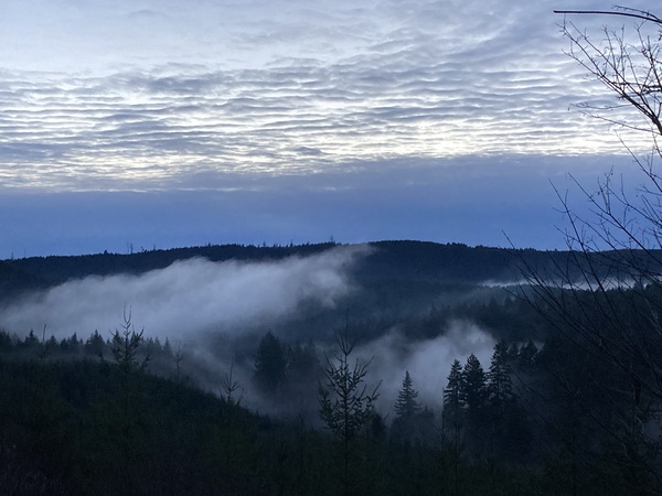 Willamina OR 2021 Print