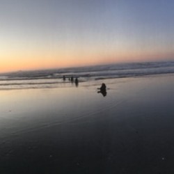 Neskowin OR | 2021