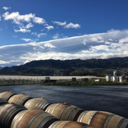 Amisfield Winery NZ | 2018 2