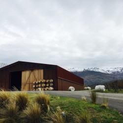 Amisfield Winery NZ | 2018