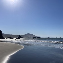Port Orford 21