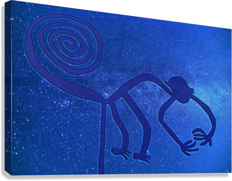 Nazca Monkey Canvas Print