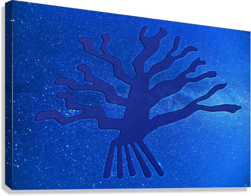 Nazca Tree Canvas Print
