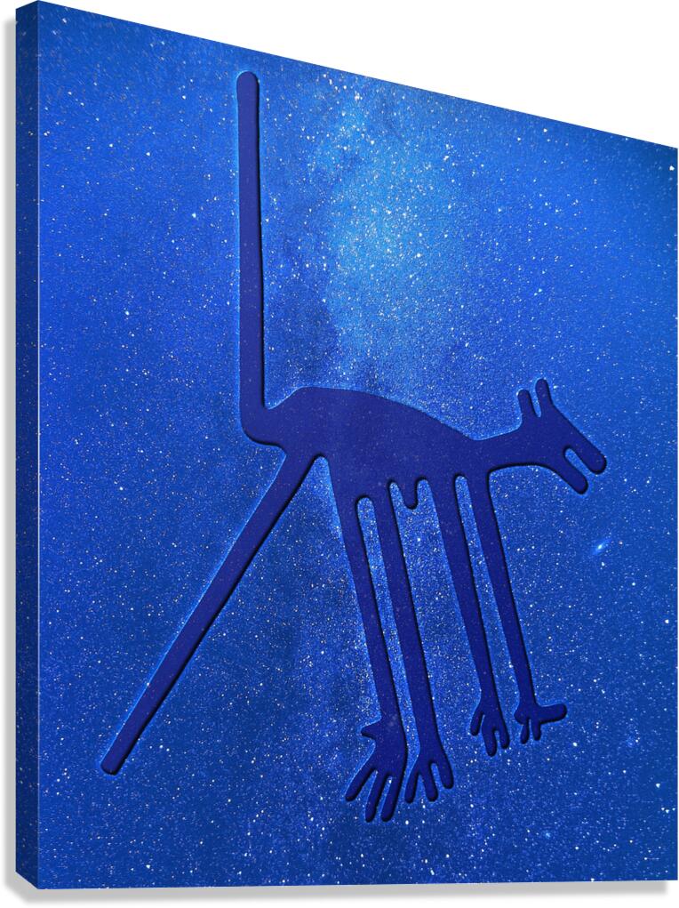 Nazca Dog Canvas Print