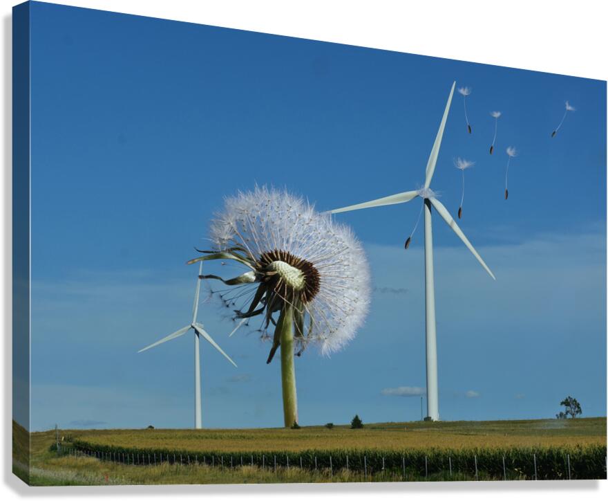 Wind Power Canvas Print