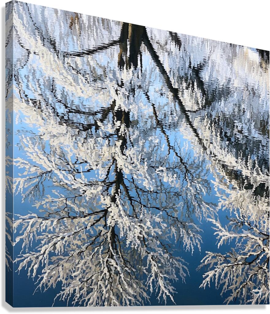 Winter Reflection Canvas Print