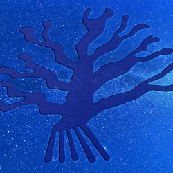 Nazca Tree