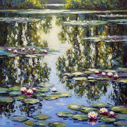 Summer Reflection