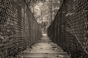 The Path Forward