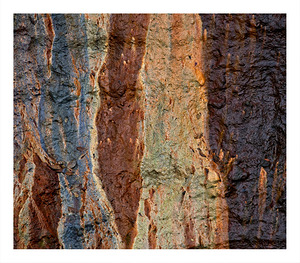 Earth’s Palette