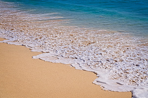 Shoreline Serenity