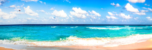 Turquoise Ocean Paradise
