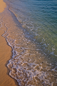 Shoreline Serenity