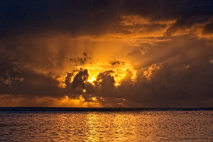 Golden Tempest