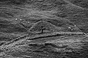 Hills of Time