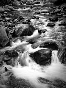 Mountain Creek Rush