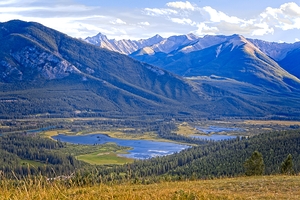 Valley of Light
