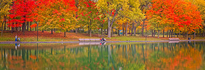Autumn Park by the Water