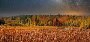 Starlit Harvest Night
