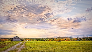 Golden Hour Over the Meadow