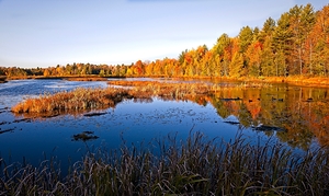Autumn Reflections