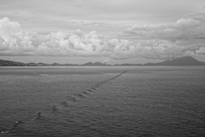 The Journey’s Wake