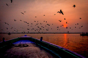 Dawn Flight Over Still Waters