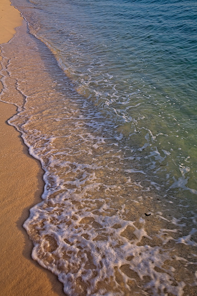 Shoreline Serenity by Chirag Pandya