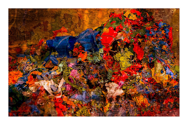 Festival of Color by Chirag Pandya