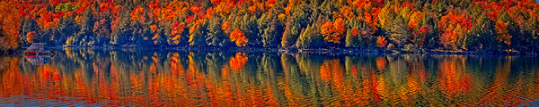 Autumn Forest Reflection by Chirag Pandya
