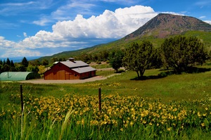 CrawfordCountry