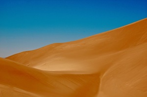 Dune