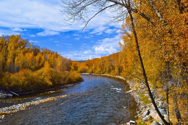 Gunnison River Fall Print