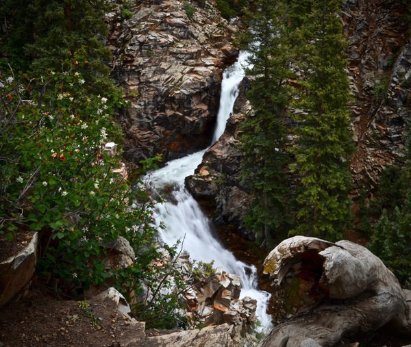Judd Falls Print